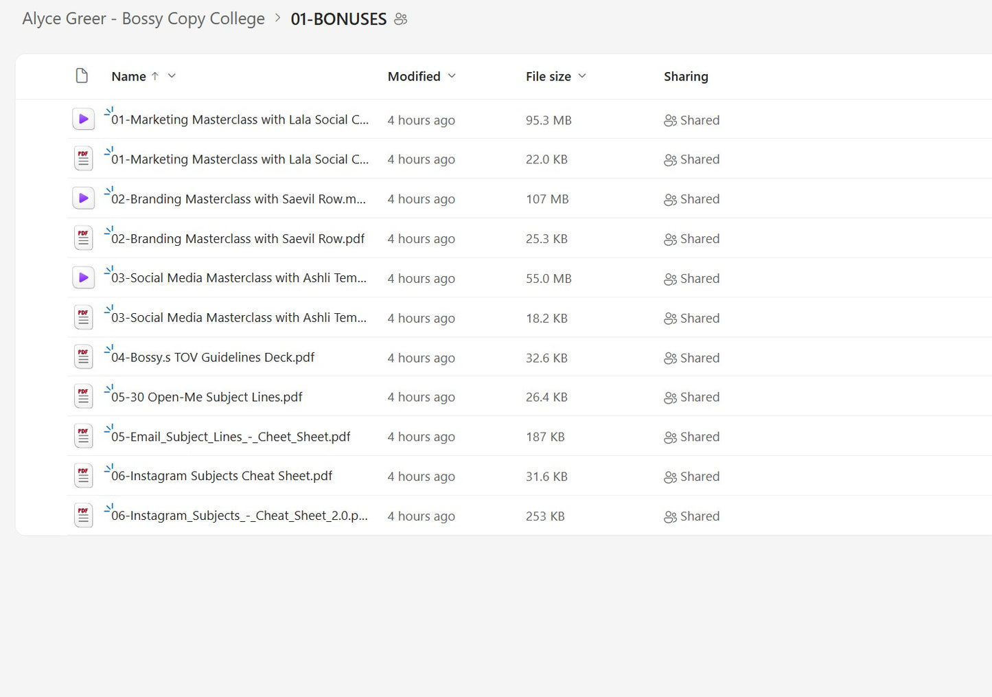 Alyce Greer – Bossy Copy College Module 1 on yourpremiumaccess.com