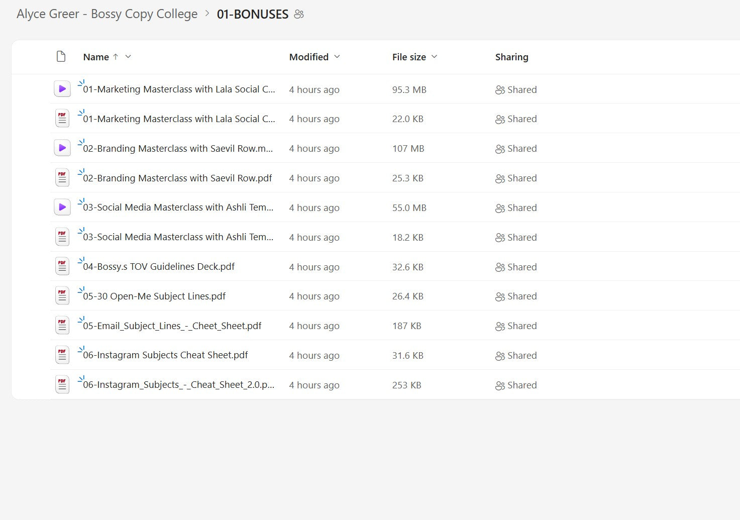Alyce Greer – Bossy Copy College Module 1 on yourpremiumaccess.com