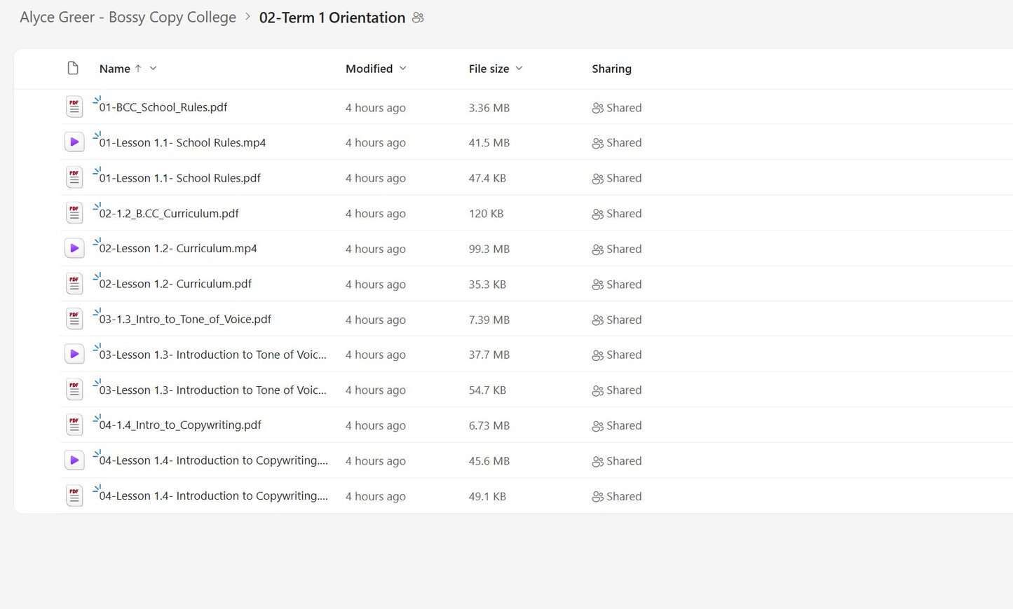Alyce Greer – Bossy Copy College Module 2 on yourpremiumaccess.com