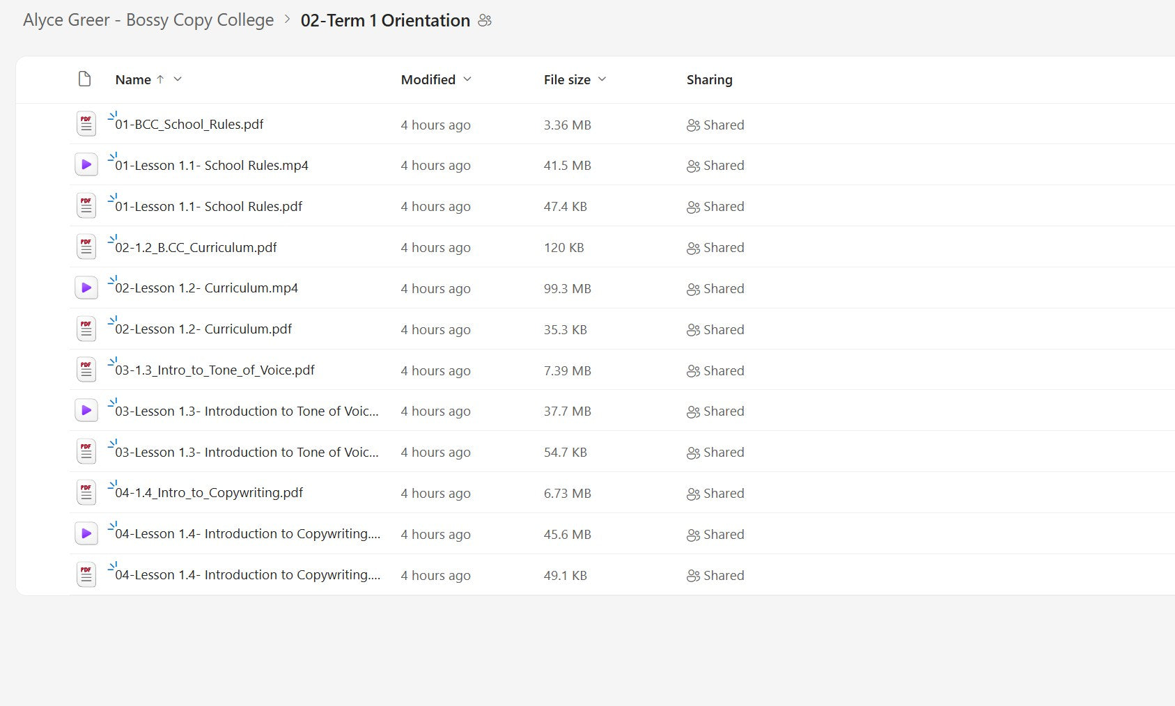 Alyce Greer – Bossy Copy College Module 2 on yourpremiumaccess.com