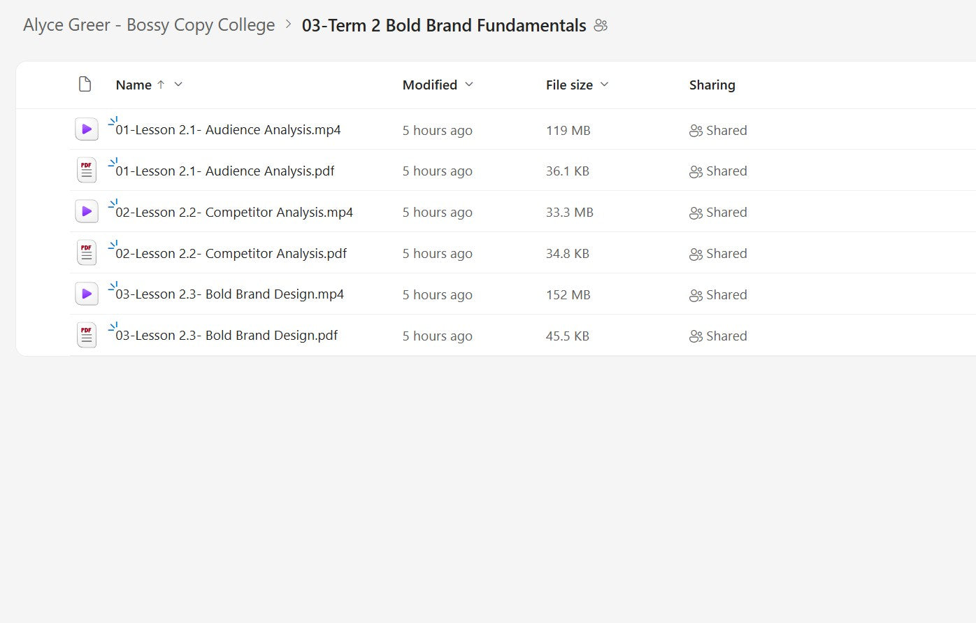 Alyce Greer – Bossy Copy College Module 3 on yourpremiumaccess.com
