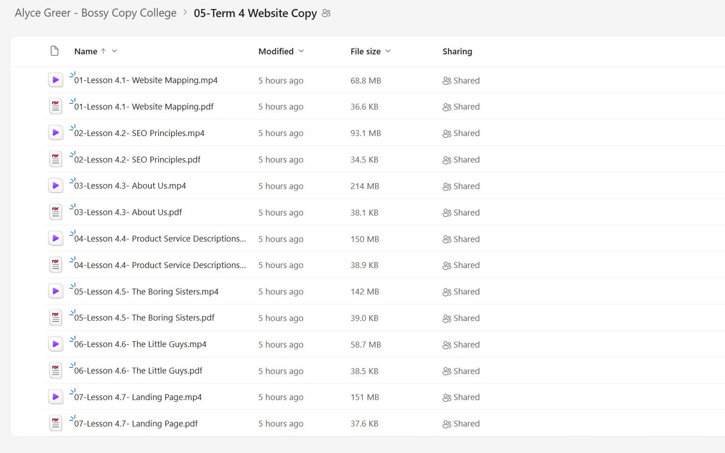 Alyce Greer – Bossy Copy College Module 5 on yourpremiumaccess.com
