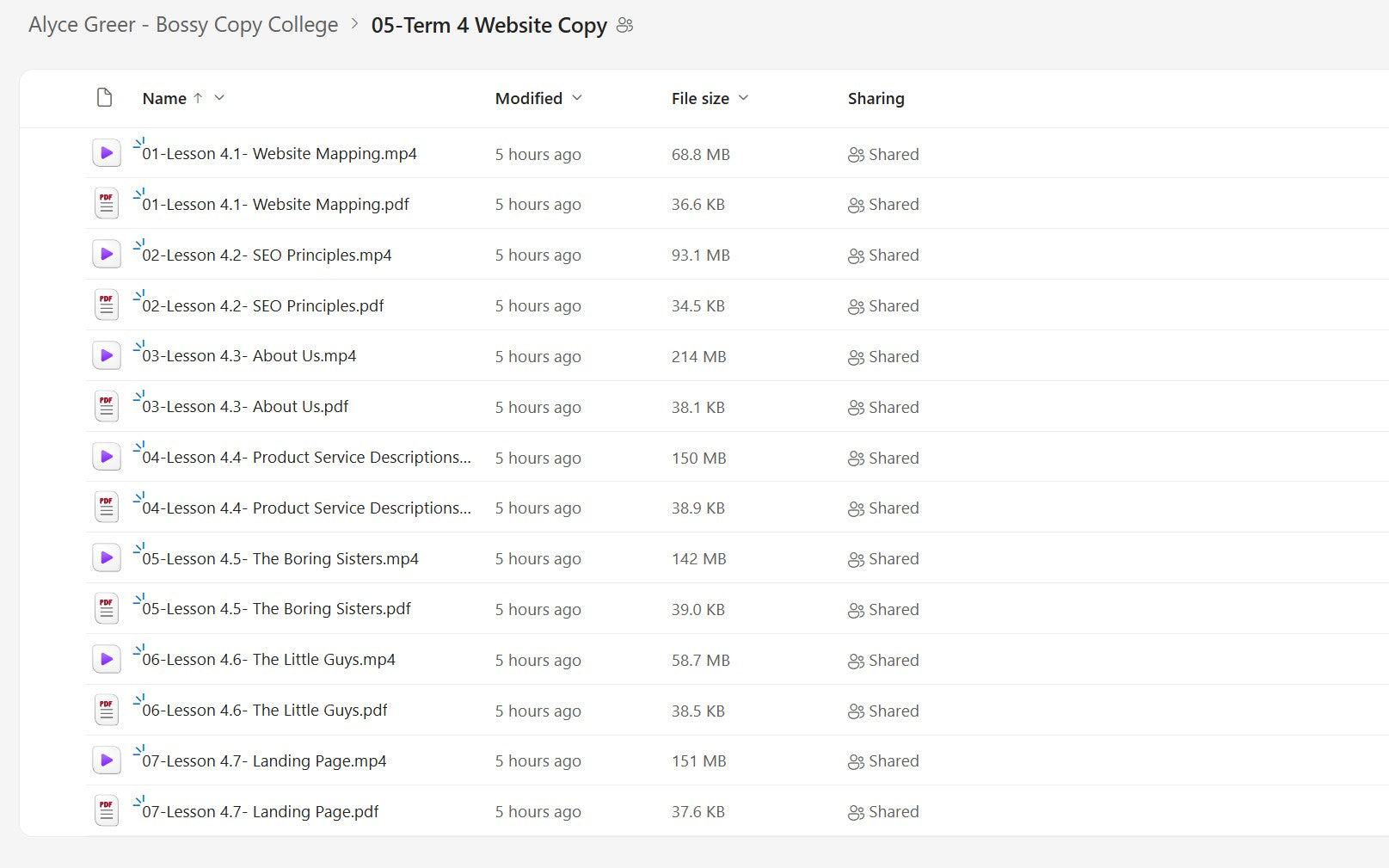 Alyce Greer – Bossy Copy College Module 5 on yourpremiumaccess.com