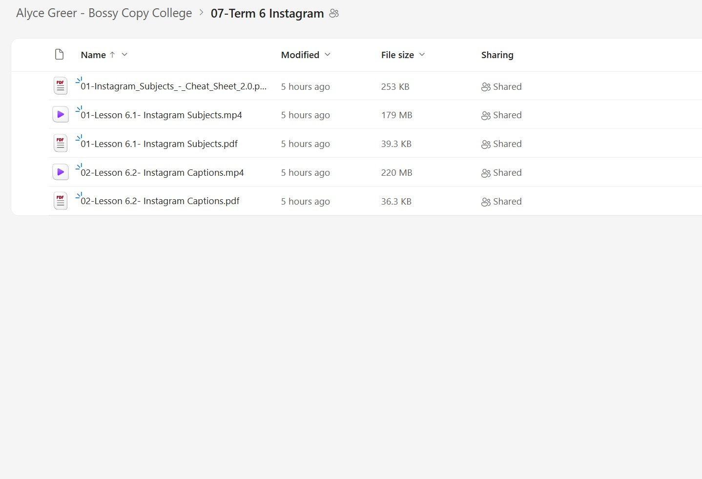 Alyce Greer – Bossy Copy College Module 7 on yourpremiumaccess.com