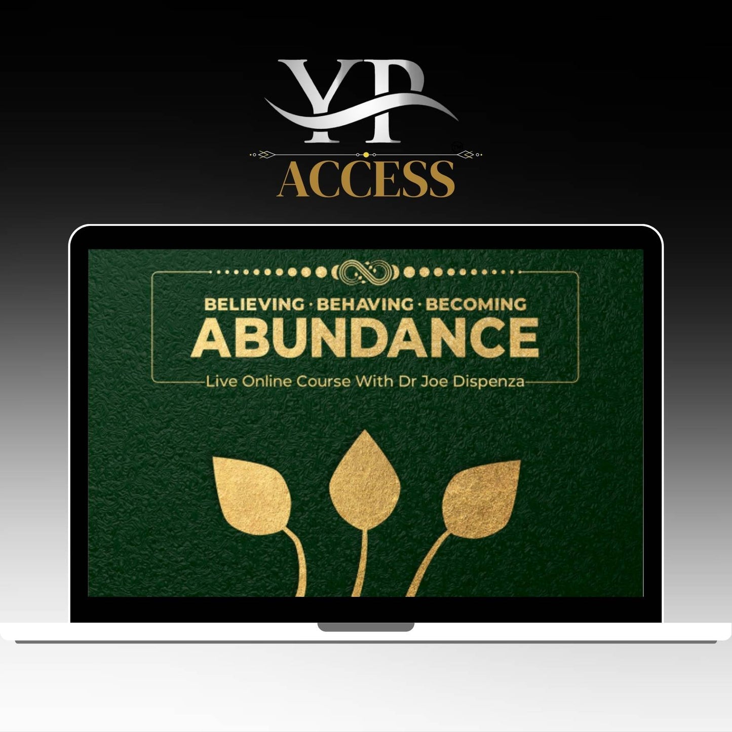 Dr Joe Dispenza – Abundance Live Online Course 2025 on yourpremiumaccess.com