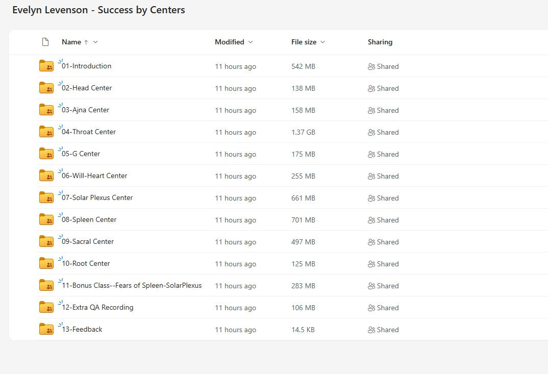 Evelyn Levenson – Success by Centers Modules on yourpremiumaccess.com